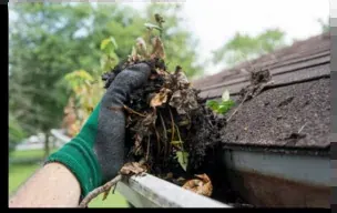 A gloved hand clearing leaves and debris out of a roof gutter