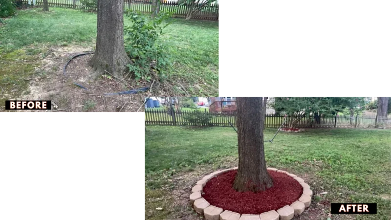 Before and after a tree bed refresh by Ask Luke Z