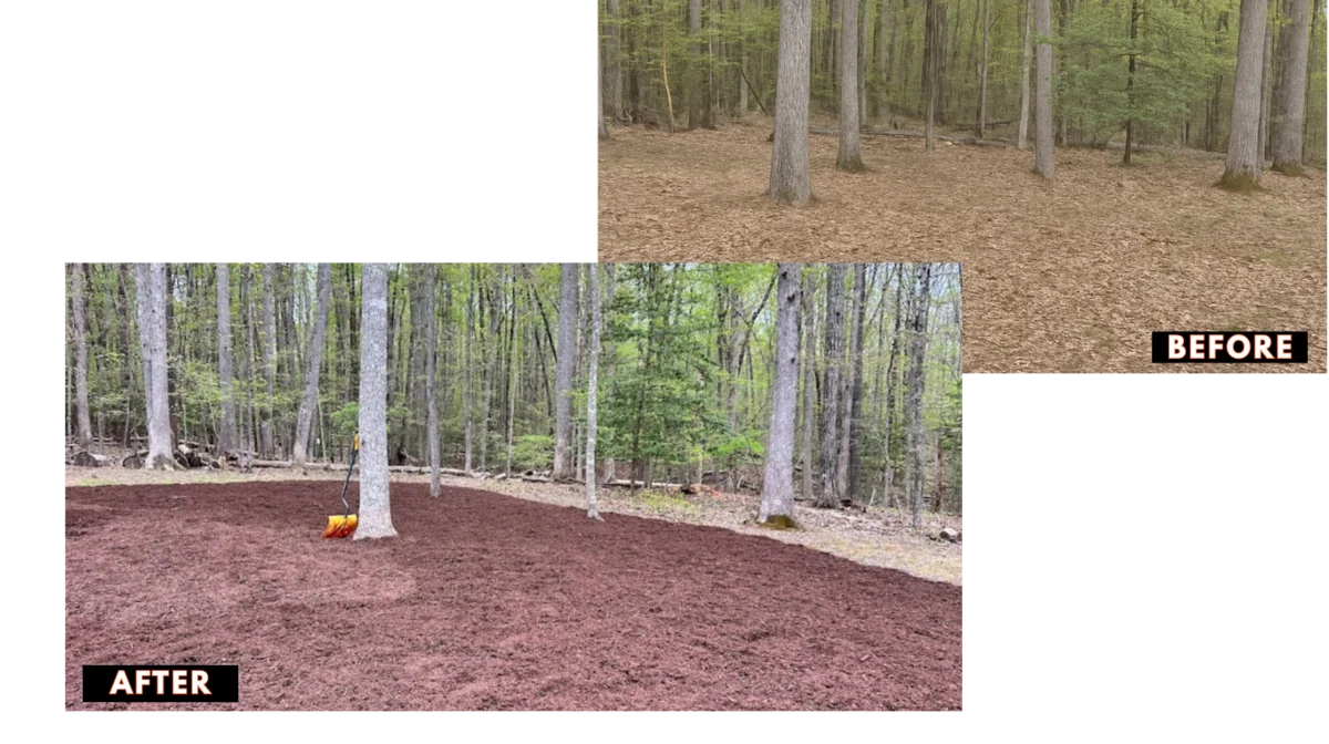 Before and after a wooded yard cleanup by Ask Luke Z